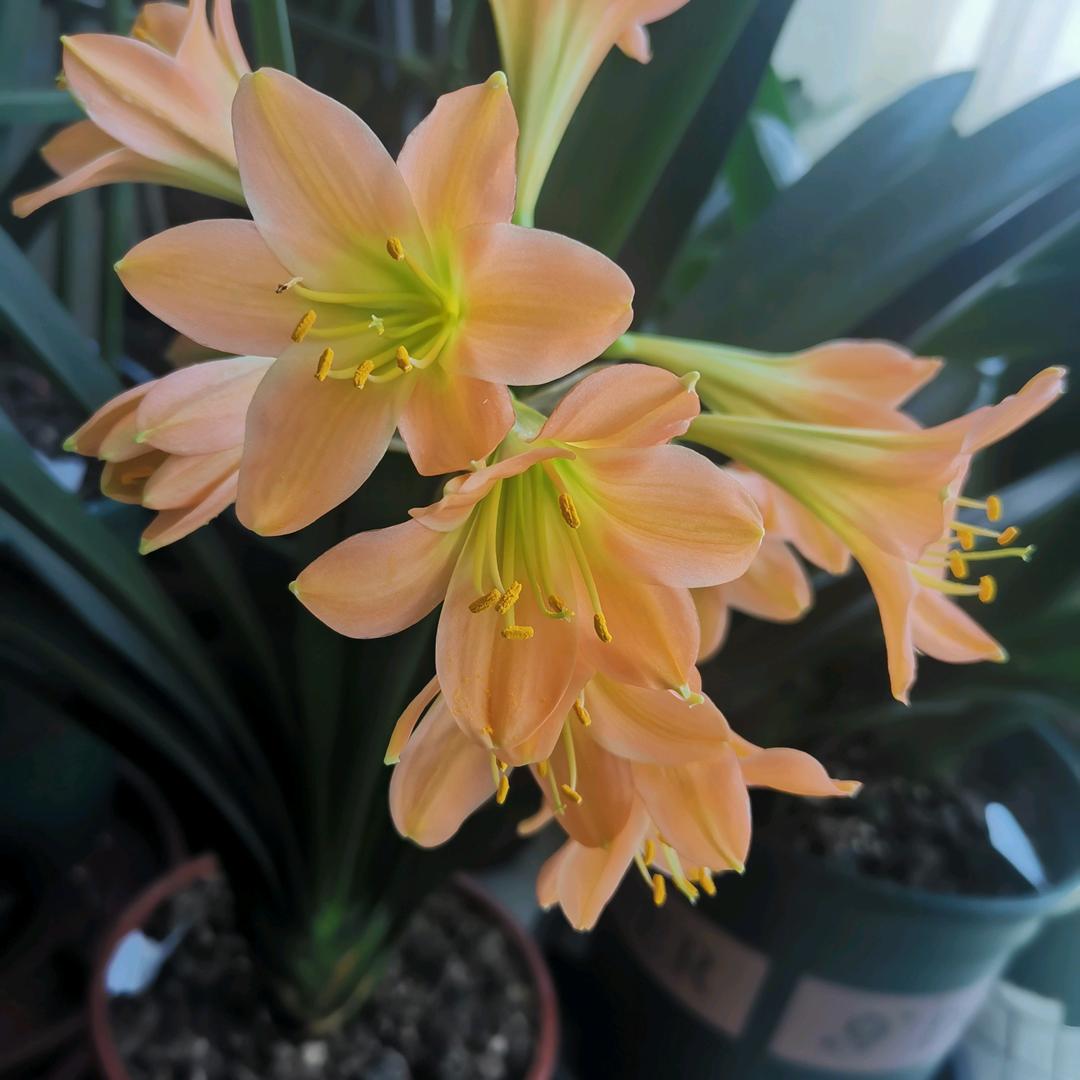 吴蕴涵