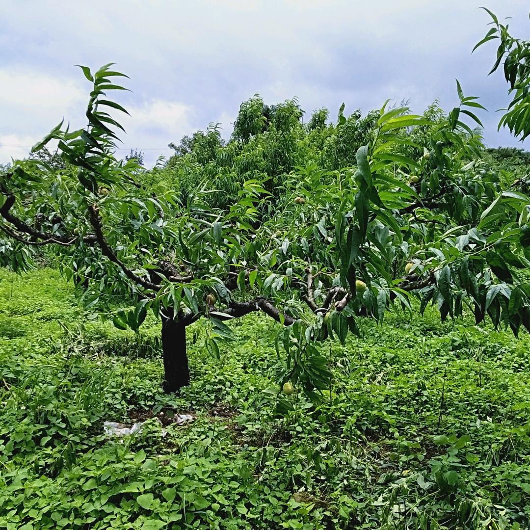 人生太难想想都是泪