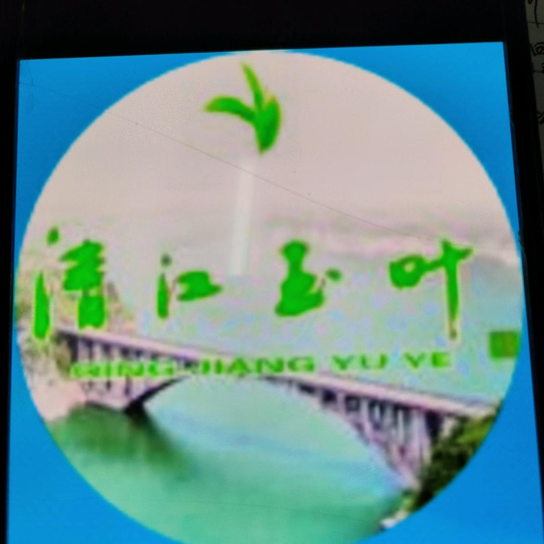 清江玉叶