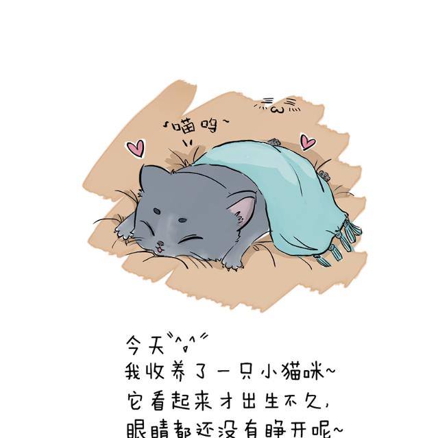 爽