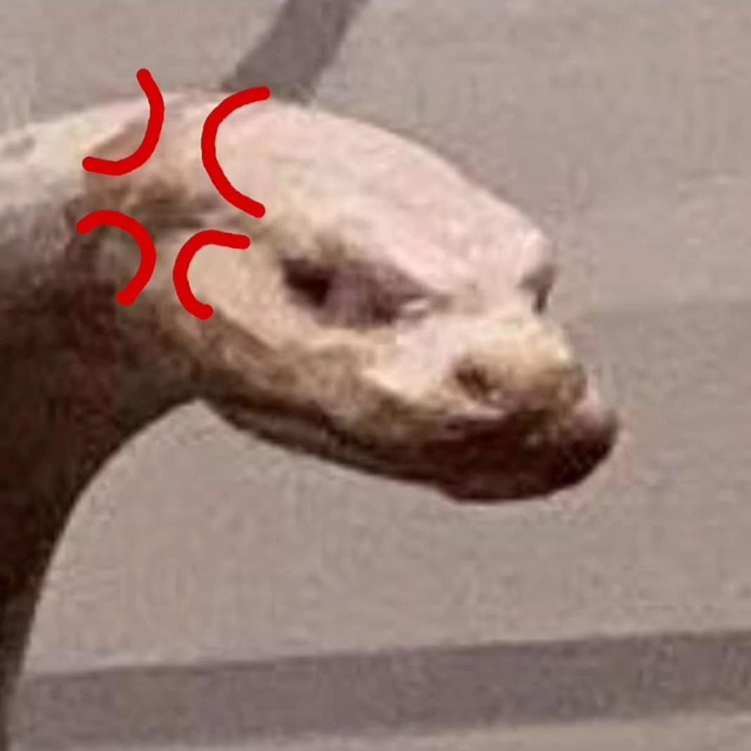 鹤