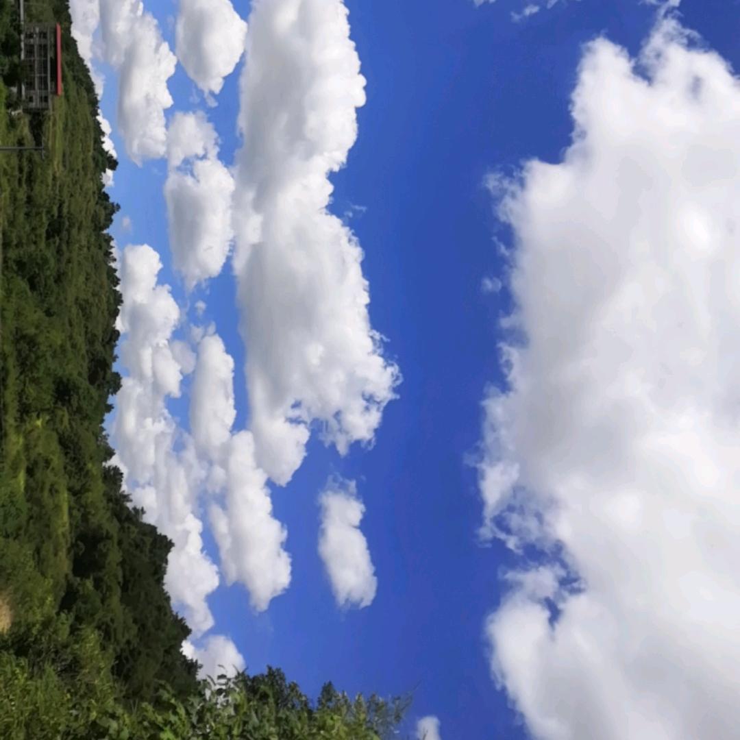 秦