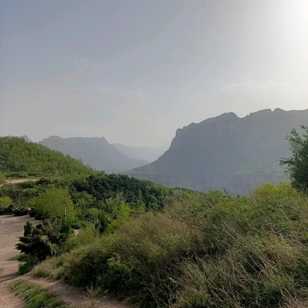 难得糊涂