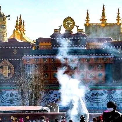 🔥顺起自然🔥