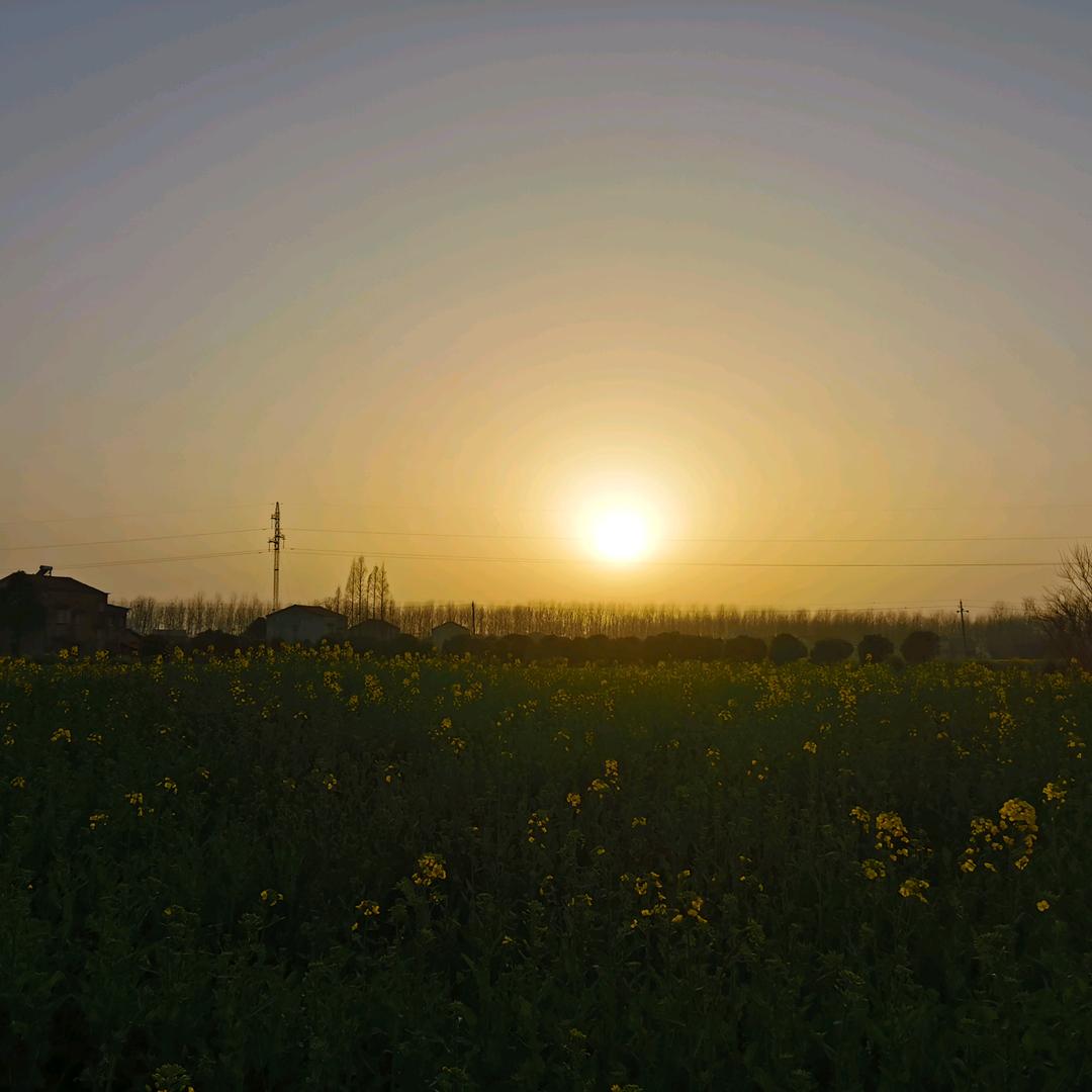 summer@