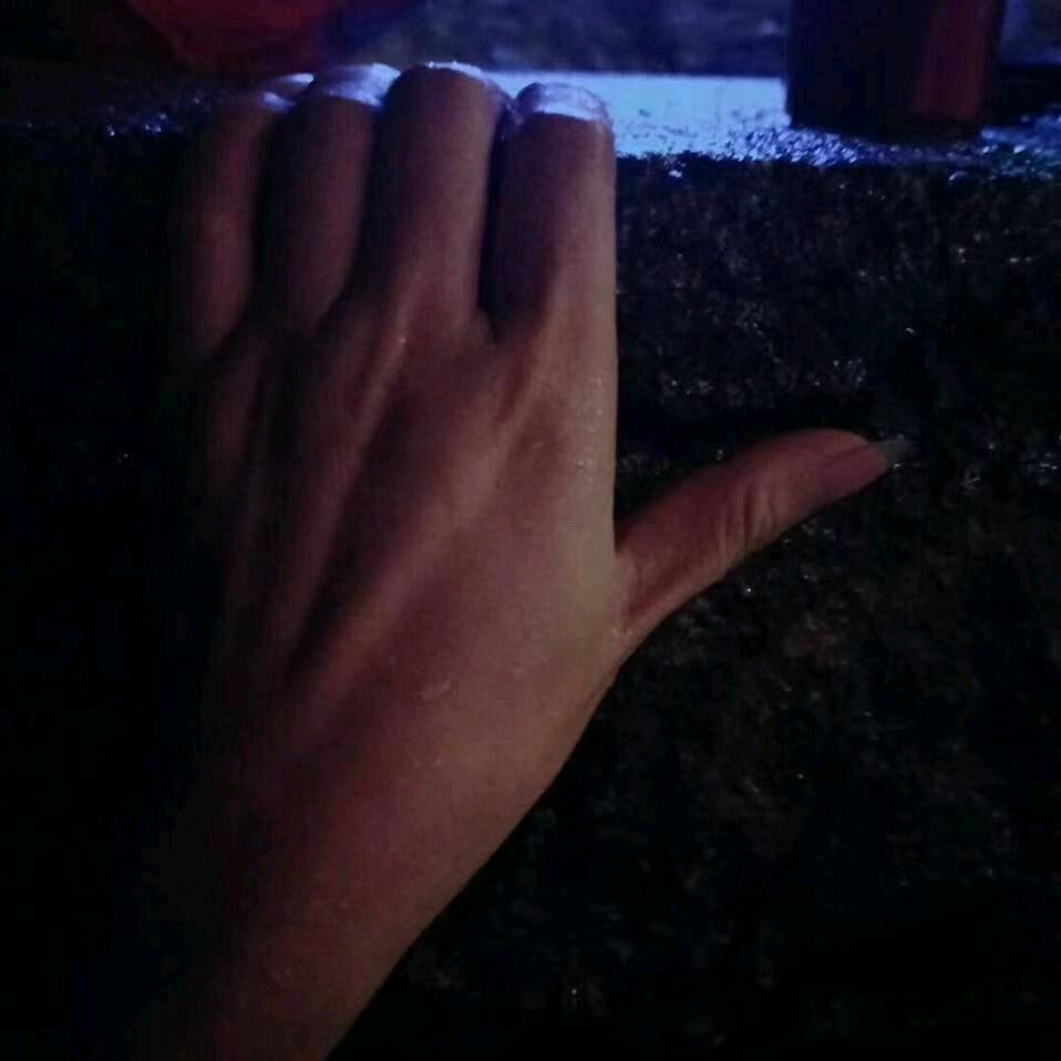 芦苇