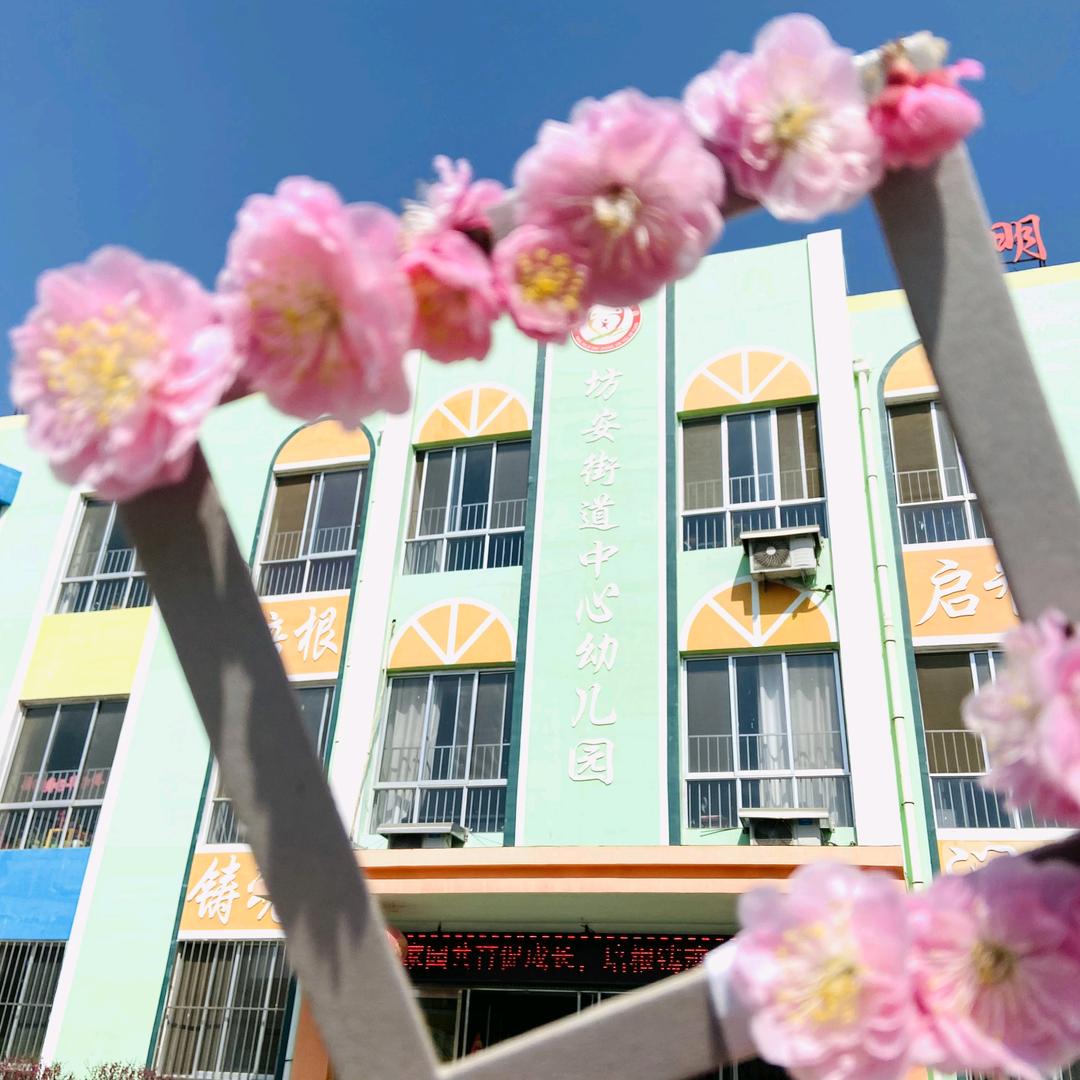 遇见坊中幼