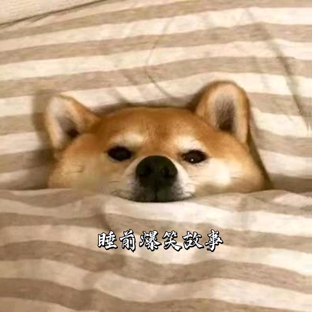 睡前爆笑故事