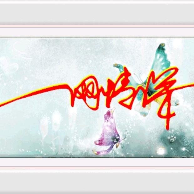 一网情深