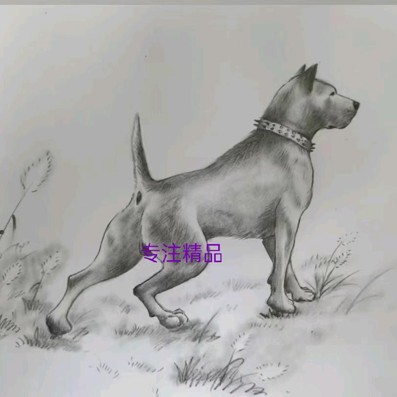 ᝰℳ.ଘ湘N翔ཽ