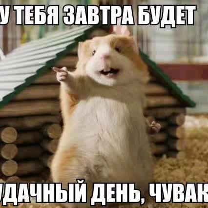 俄罗斯🇷🇺小志