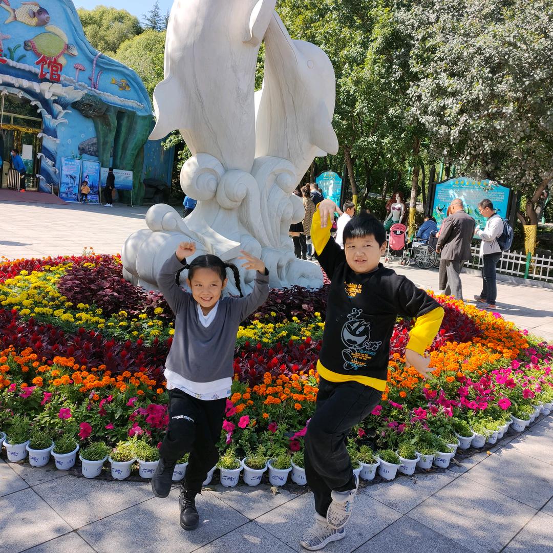 是你把我变的像个笨蛋_