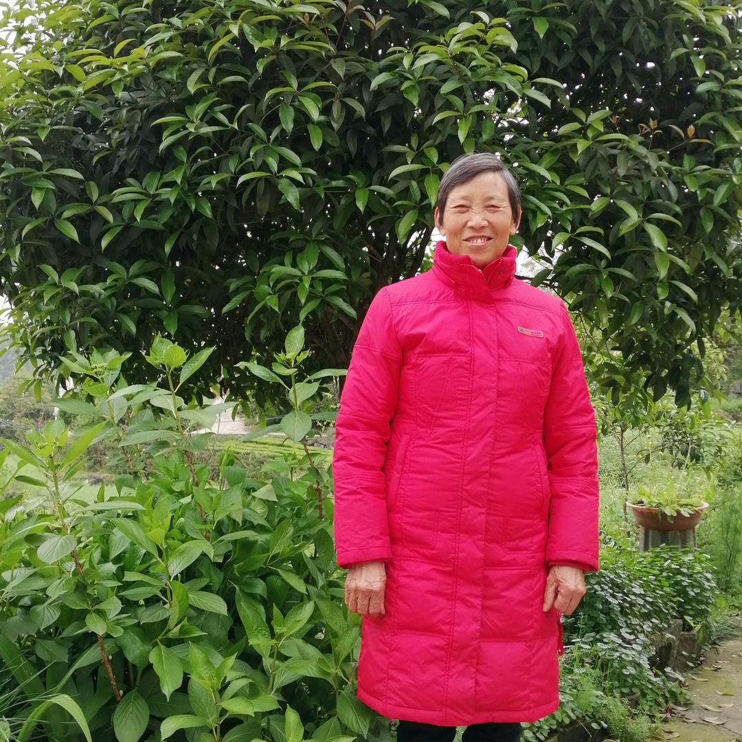 任务完成