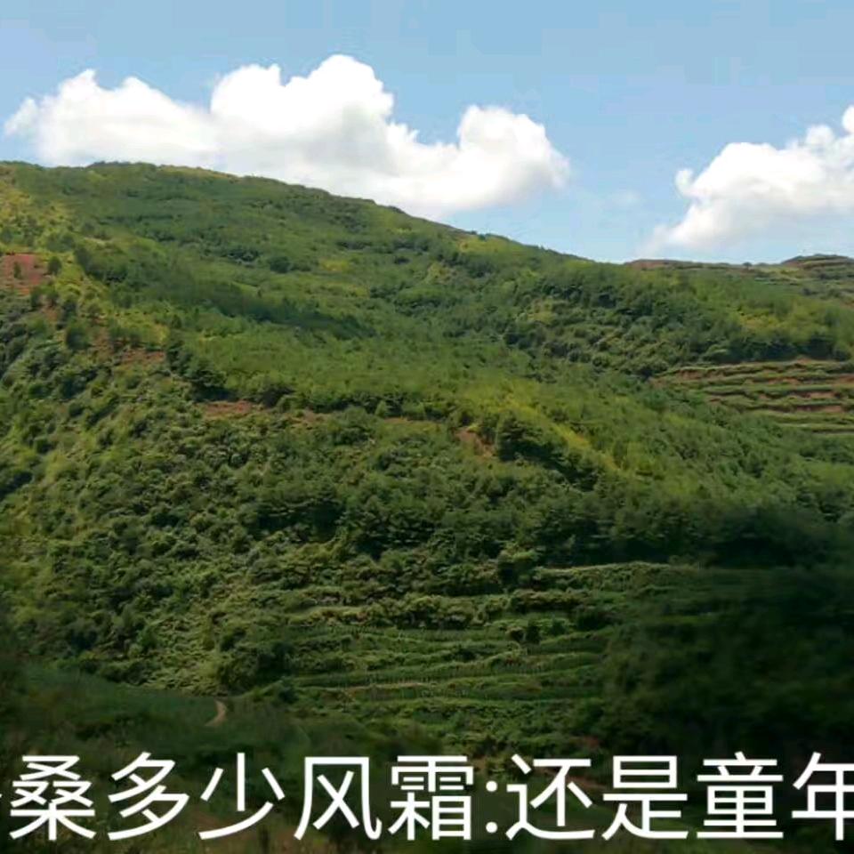 诚信