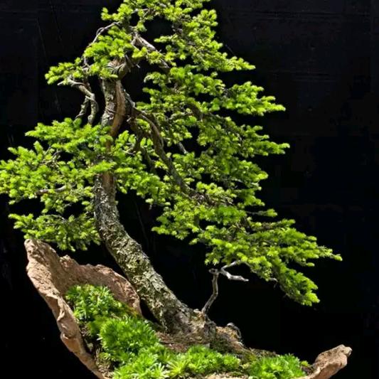 天高云淡