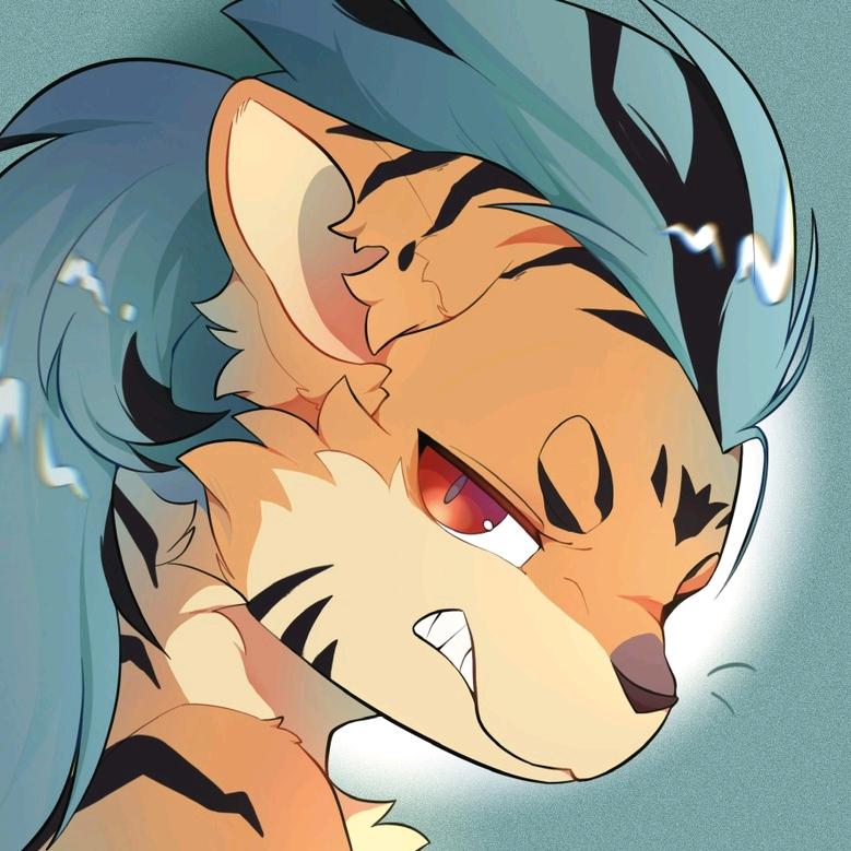 二哈呀~🐯