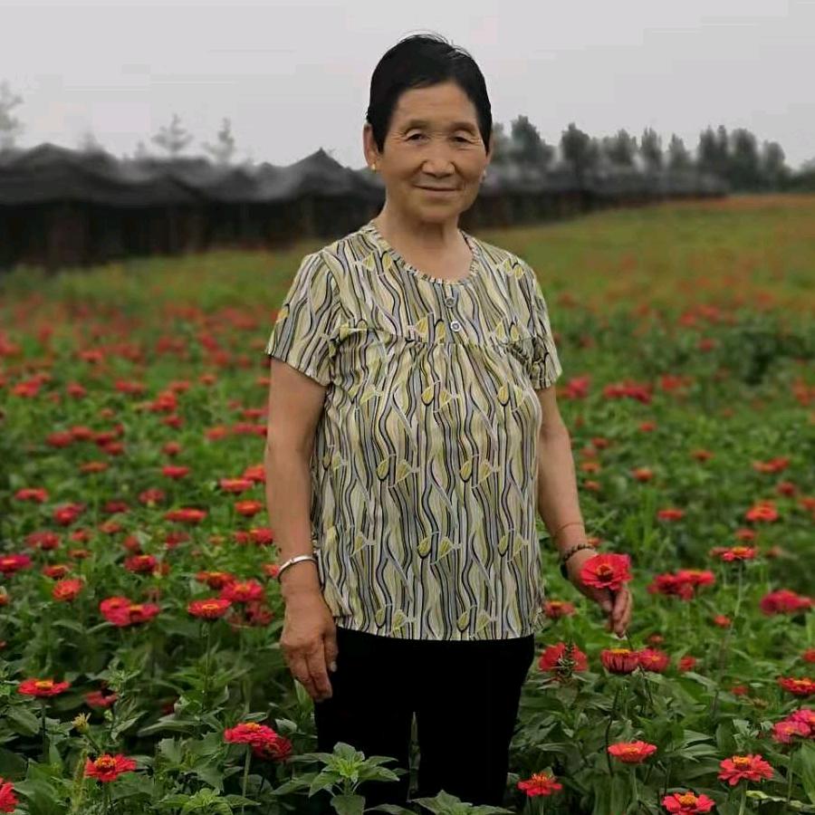 杨玉兰