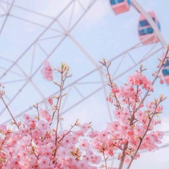 🤩凤姐🤩