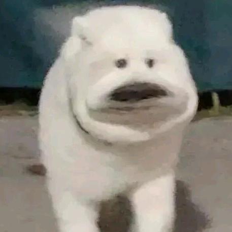 🙌👄👅👏👏👏👏👪