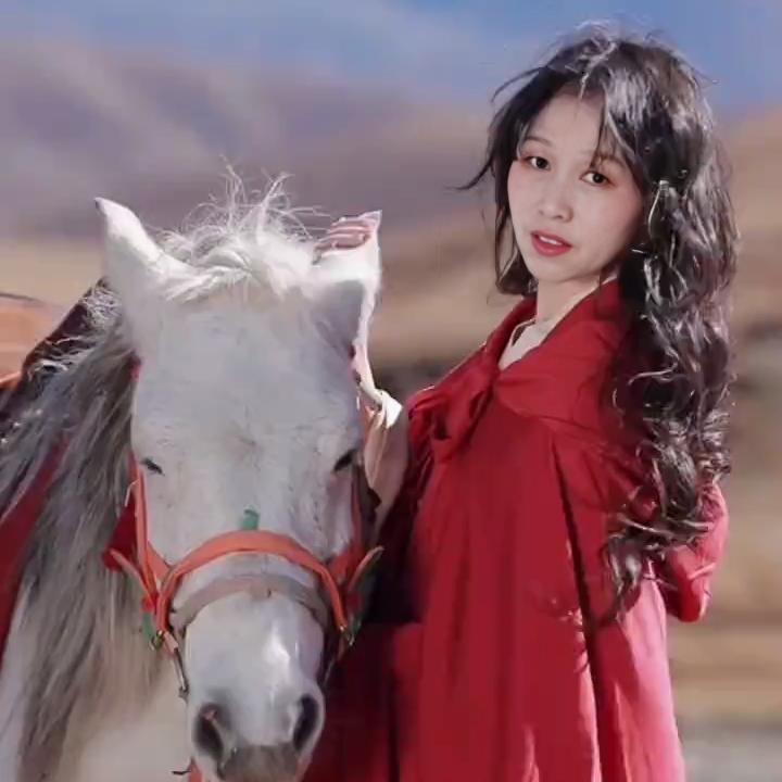 🍁秋歌🌺