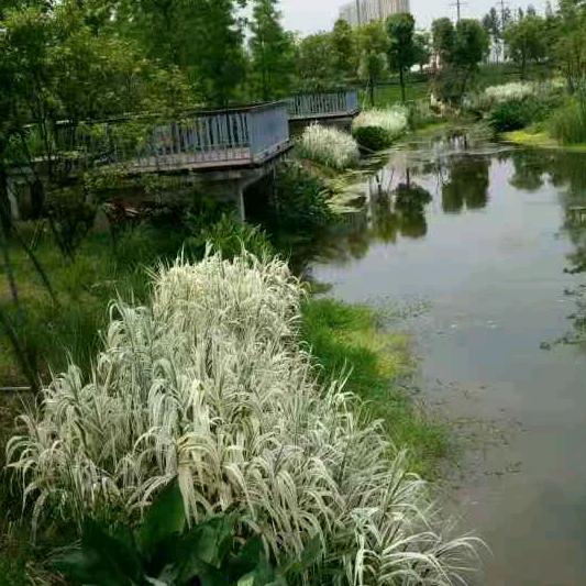 用户6218124163655一生一世