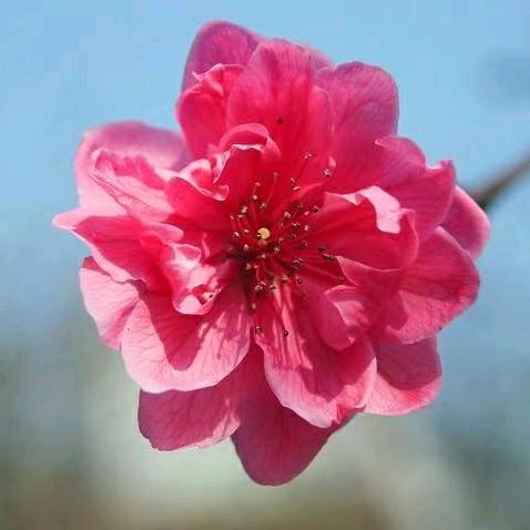 甜蜜蜜~