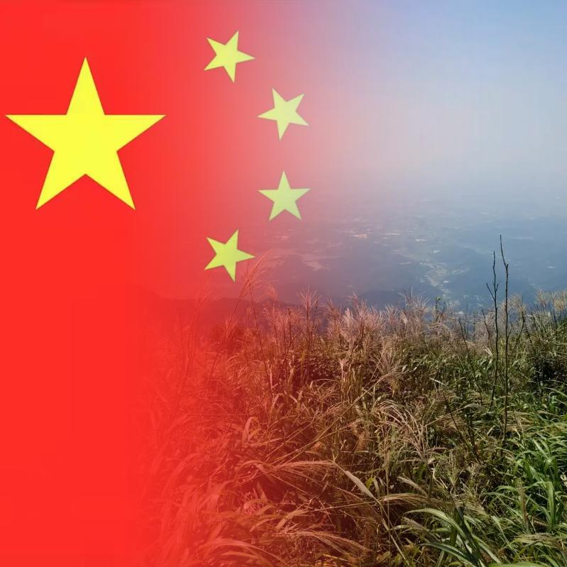 掱握刀劍莂迴头