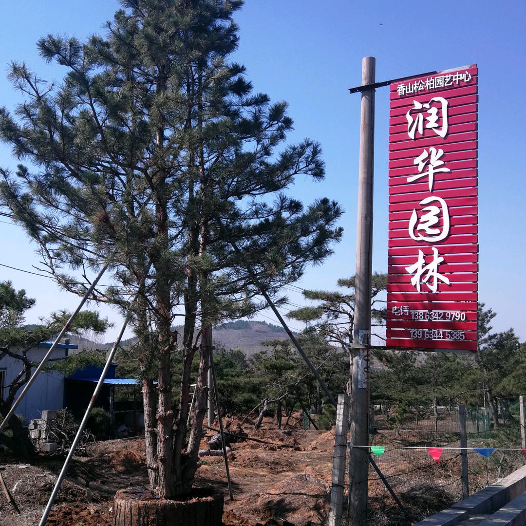 润华园林  谢绝连赞