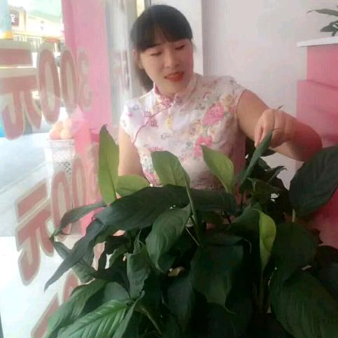 汪梅梅