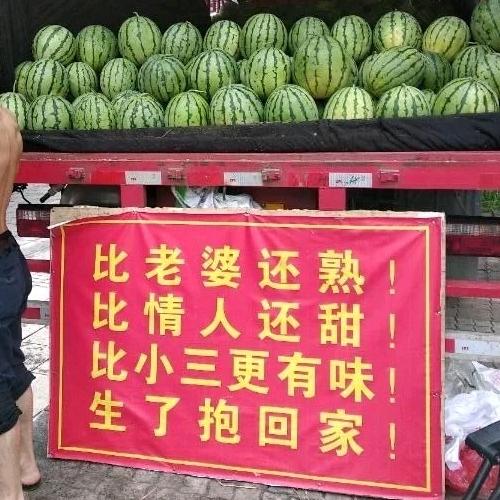 情不在人自在