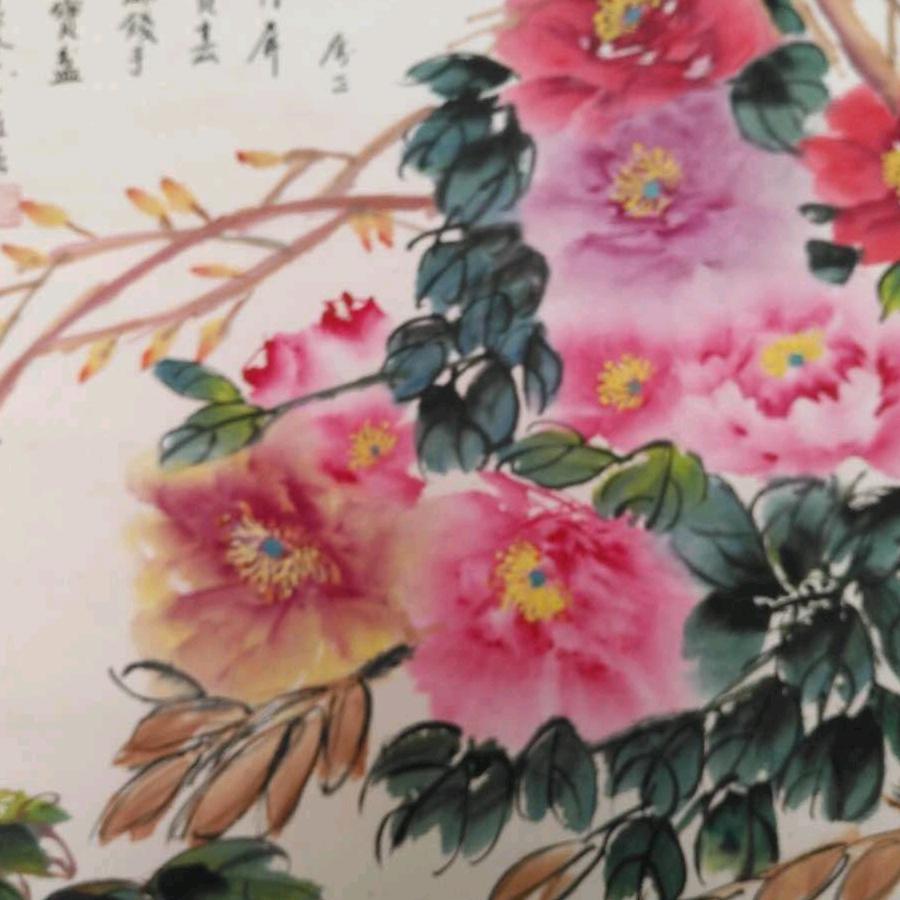 张灿红