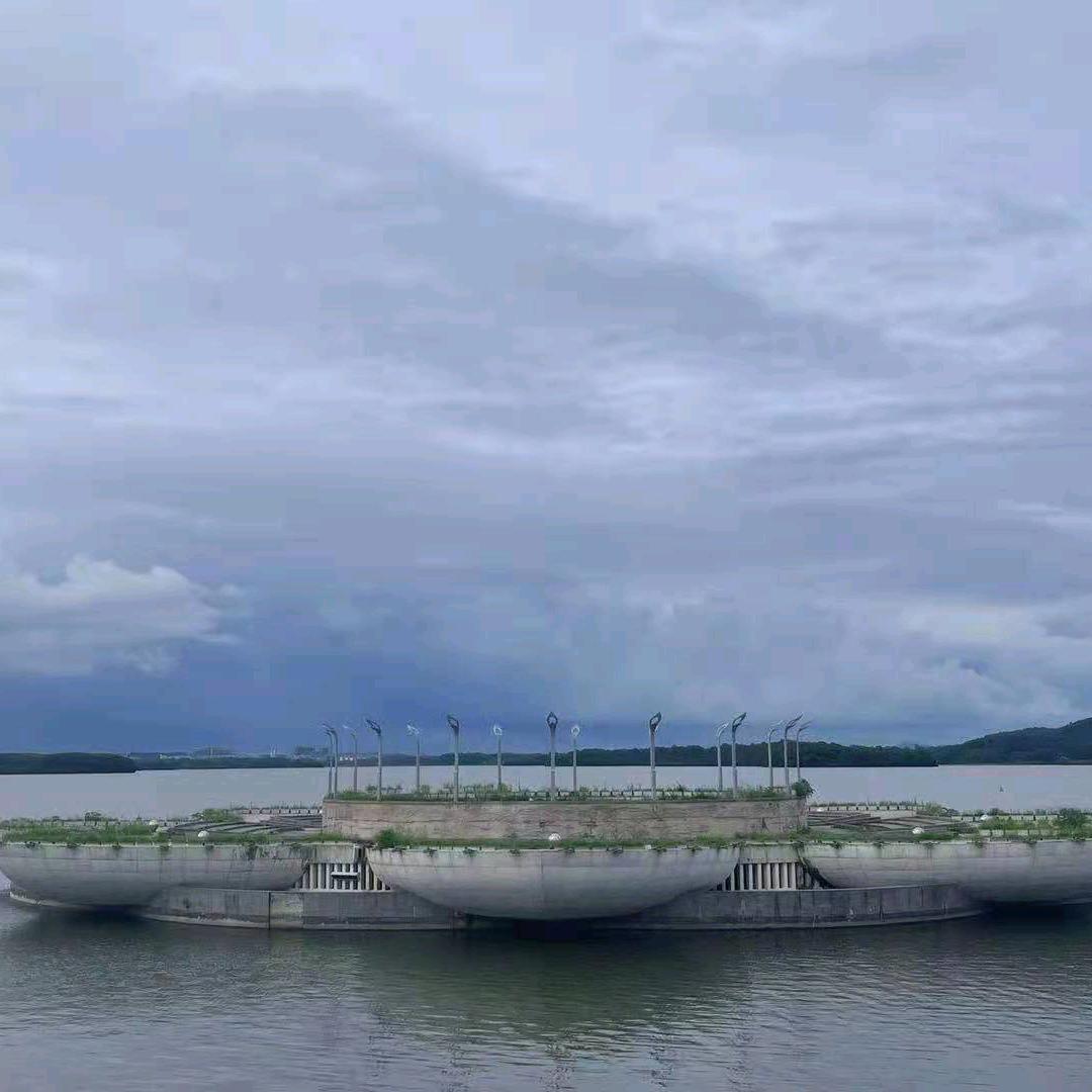 刘哥