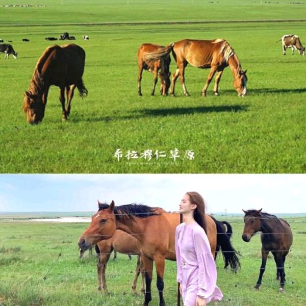 雄鹰  翱翔  自由