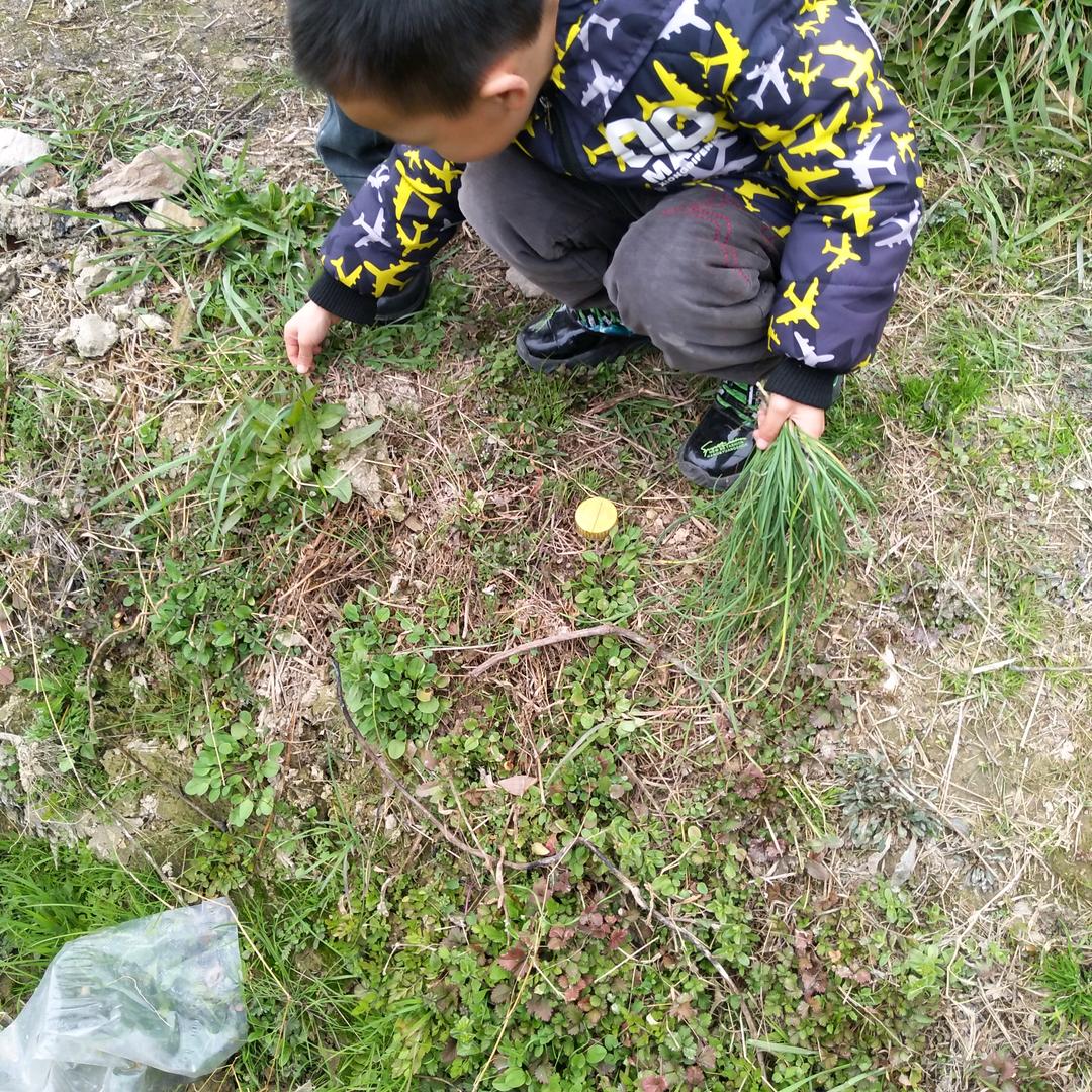 邹金琴