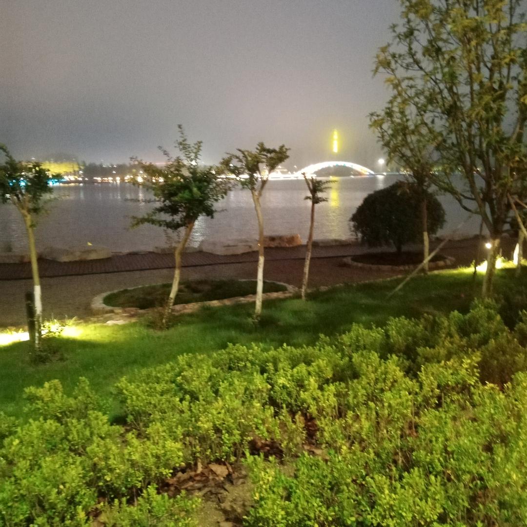好柿将来