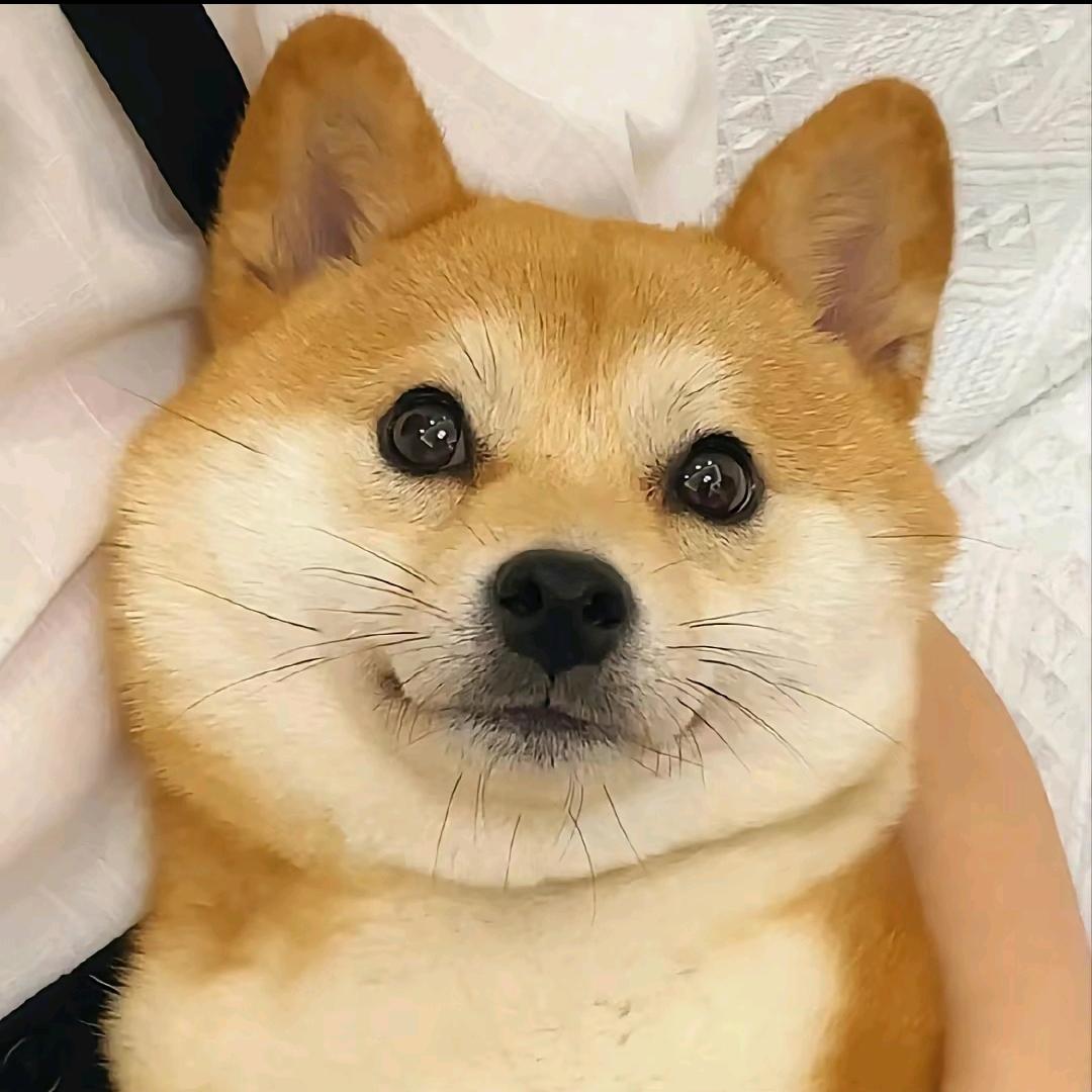 莱得快(大融城店)官方号