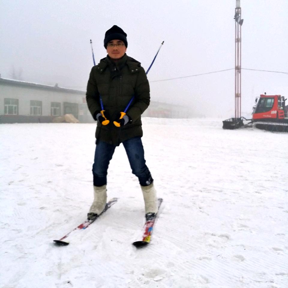 缝叶鸟壁挂炉-高工