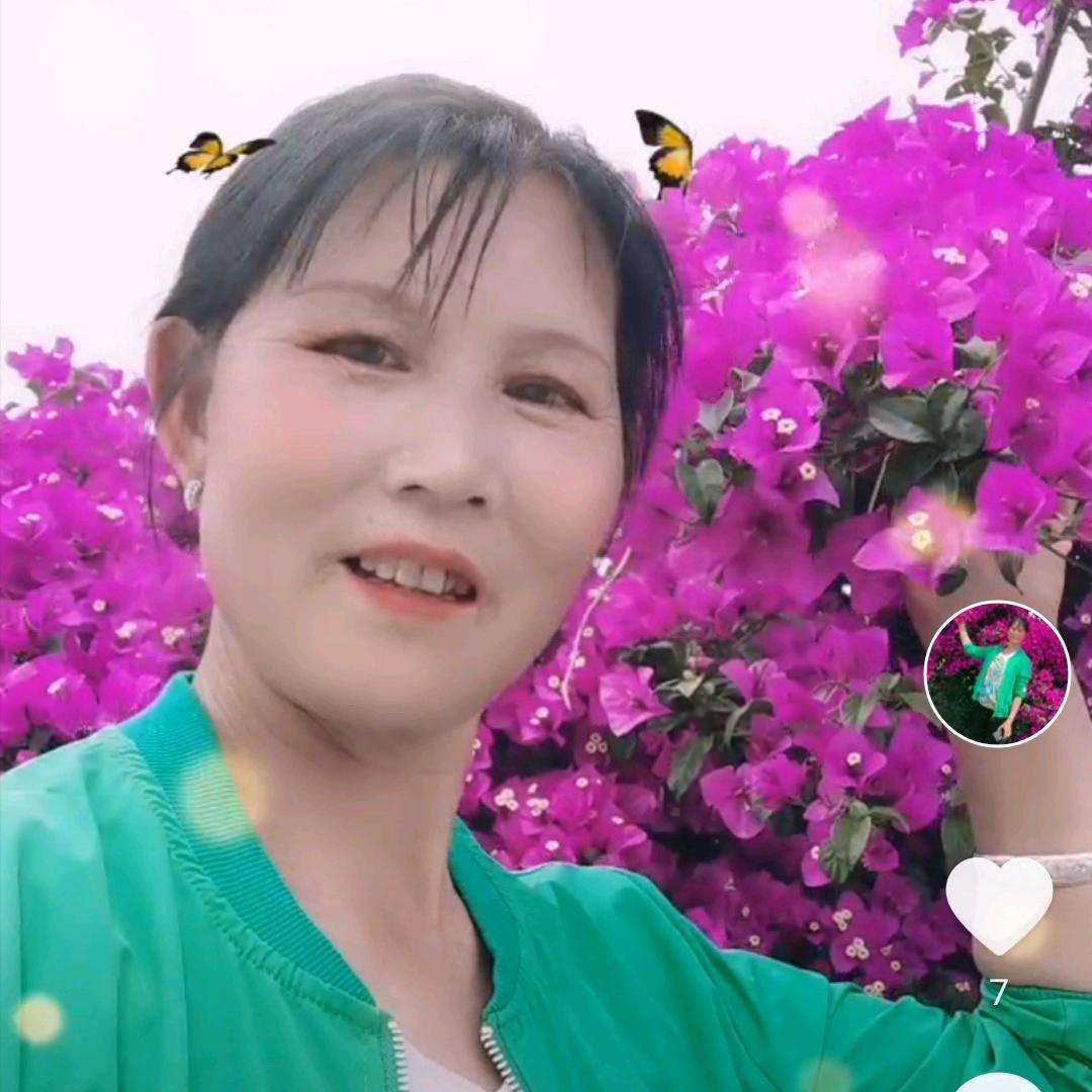 平淡人生