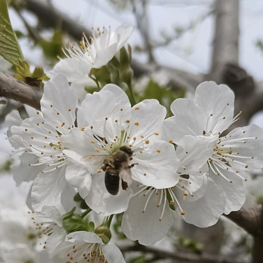 抖音关注我不迷路
