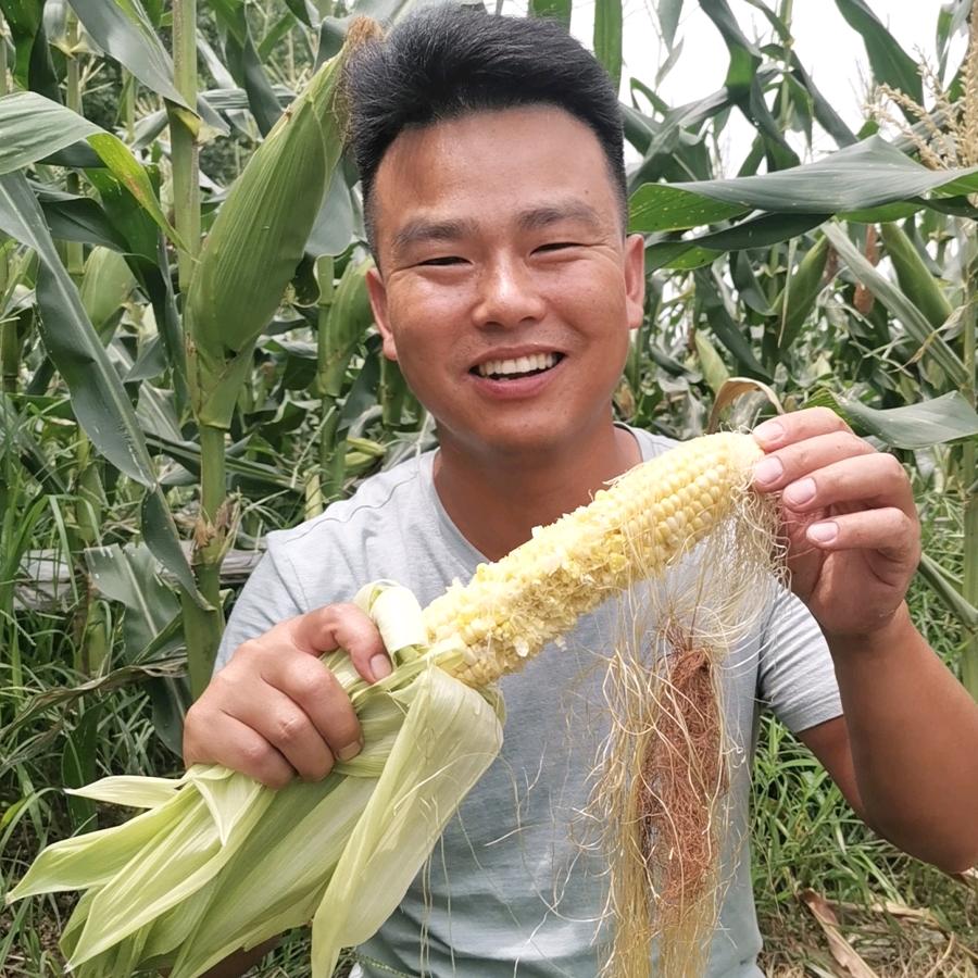 叶子毅甄选特产