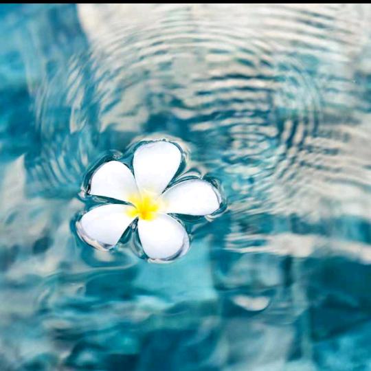 ~晚^O^风~ ⁹²⁷¹