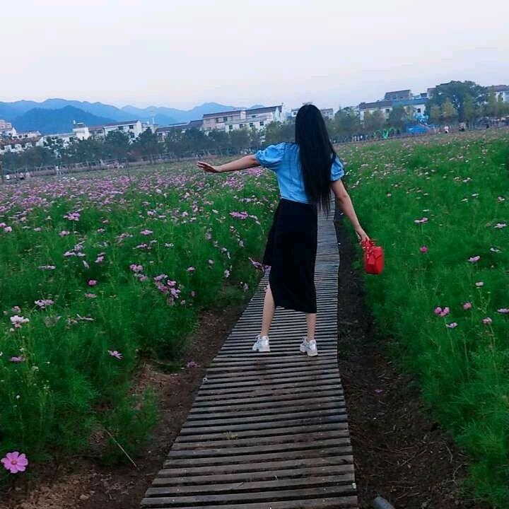你我会幸福