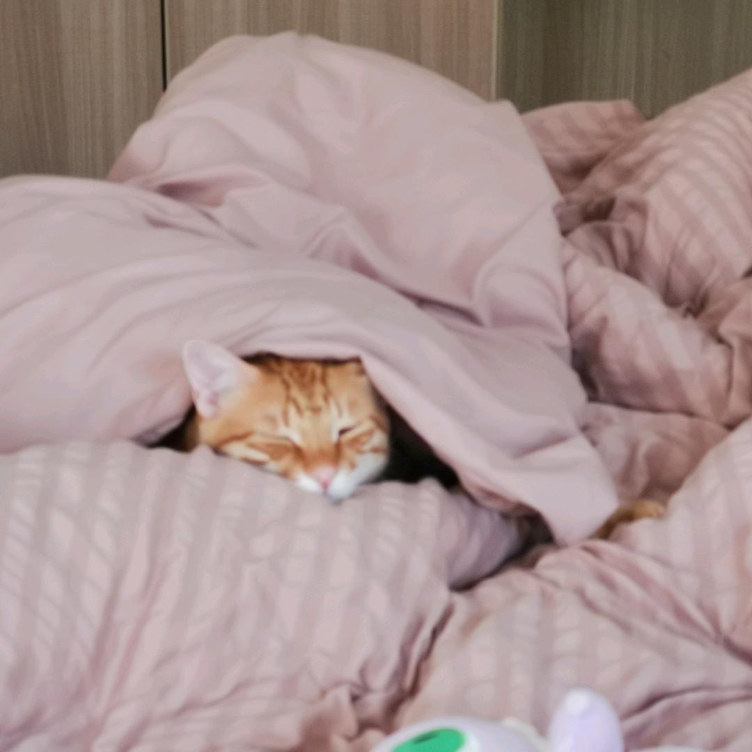 问阿好