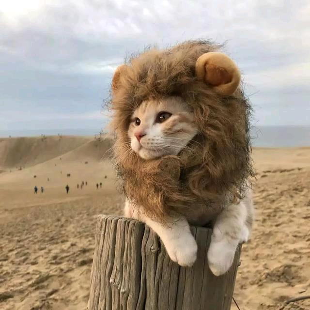 山青水秀