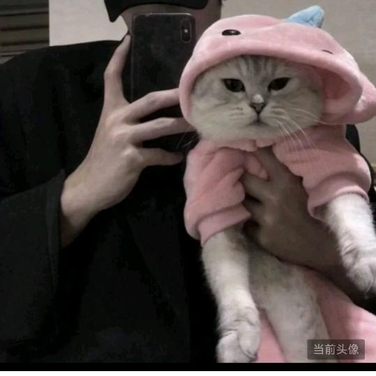 临汾刮腻子的小王