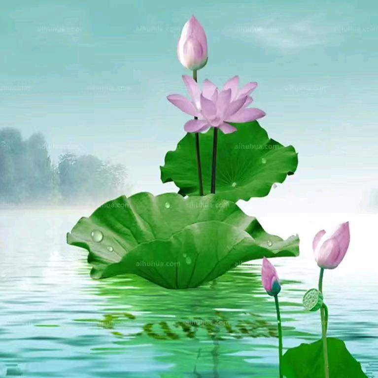 💕善🙏