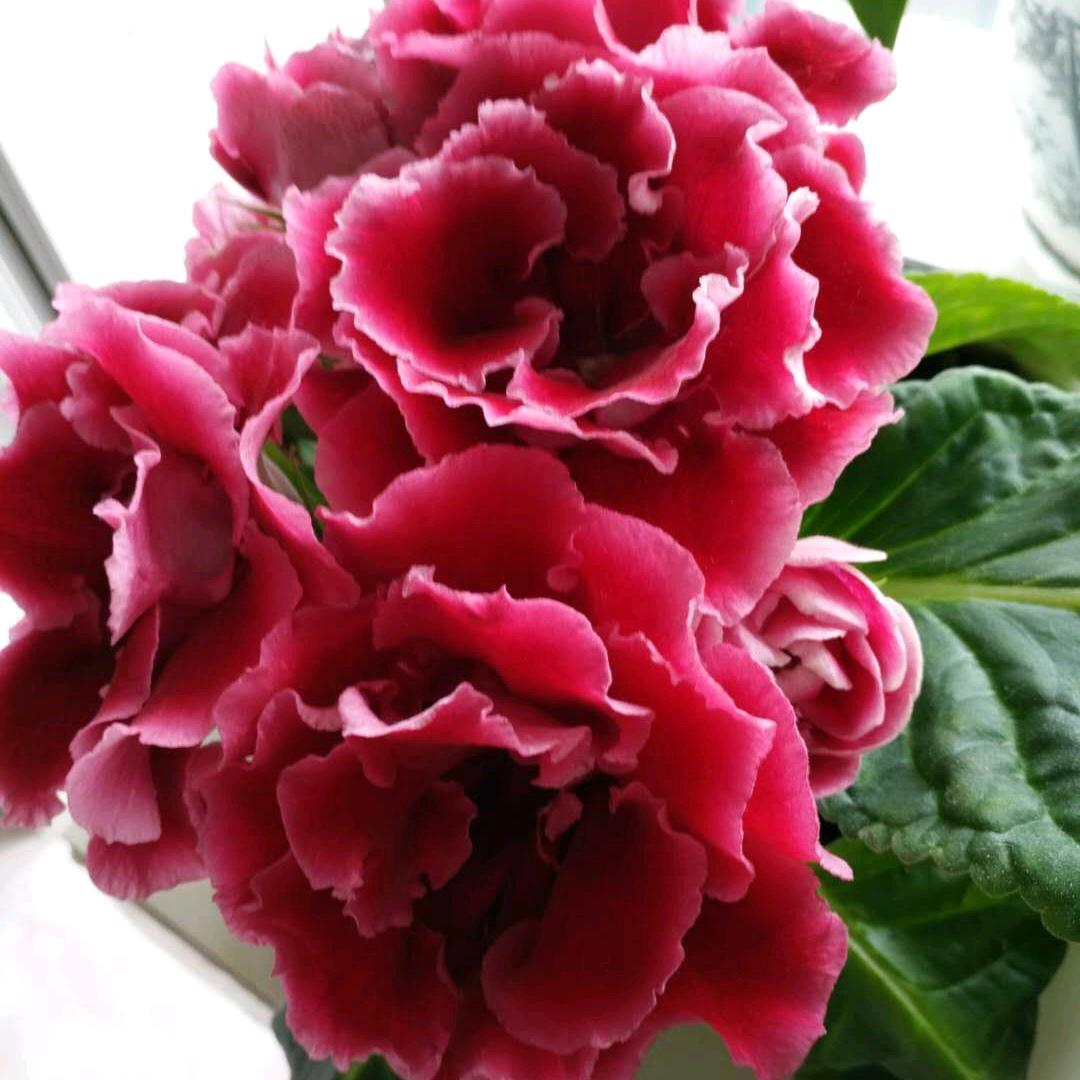 高中英语老师宋老师