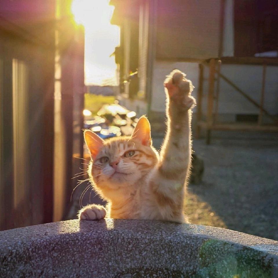 秦牧