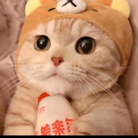 王老虎