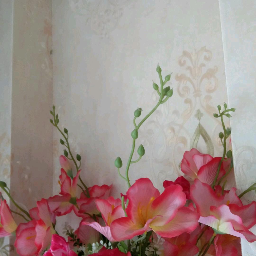 希望有个辛福的家